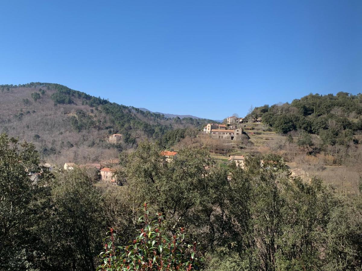 Villa Des Taillades Le Collet-de-Dèze Buitenkant foto