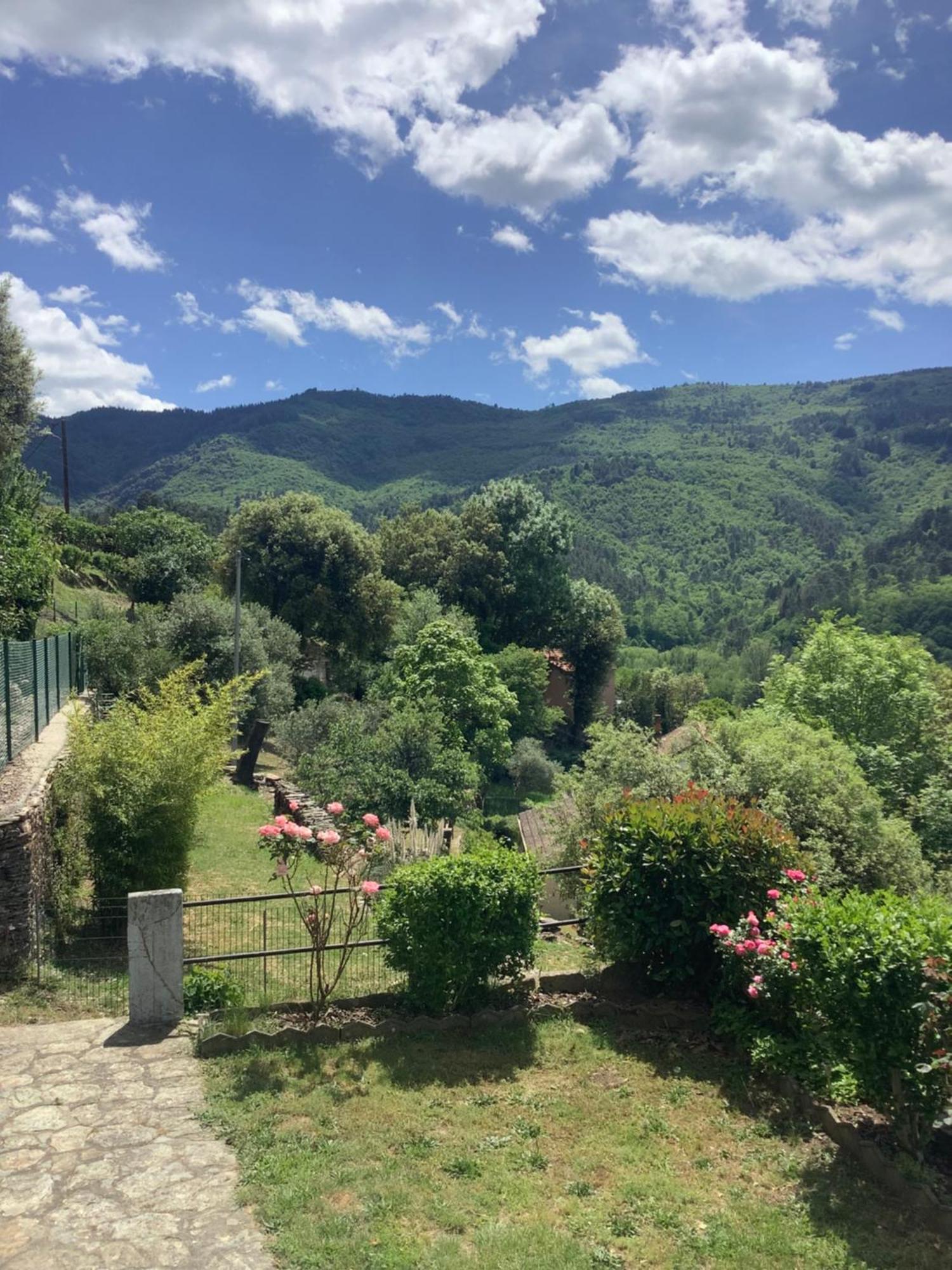 Villa Des Taillades Le Collet-de-Dèze Buitenkant foto
